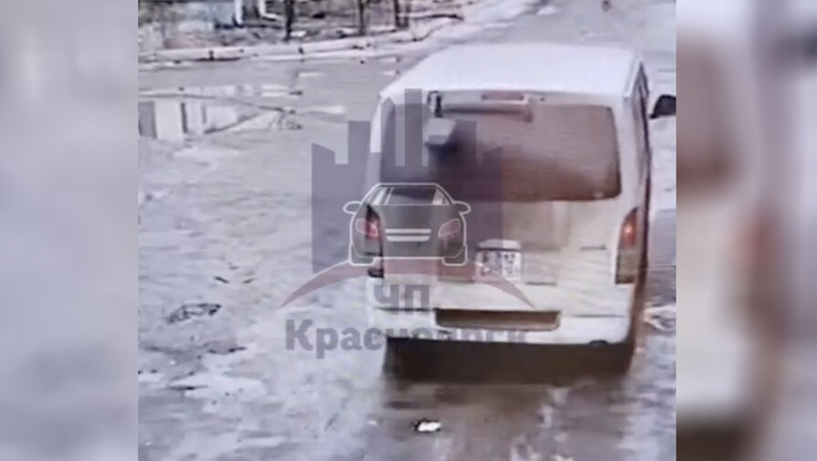 В Красноярске водитель выкинул из машины кошку и специально переехал ее