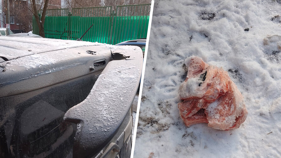 В Москве неизвестный скинул с балкона замороженную курицу на припаркованную машину