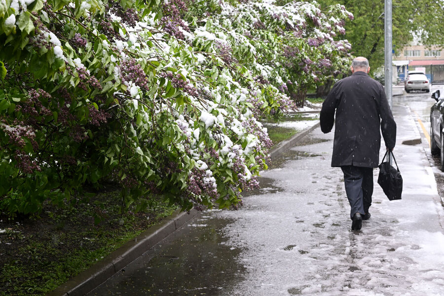 Во время снегопада в&nbsp;Москве, 2&nbsp;мая 2025&nbsp;года