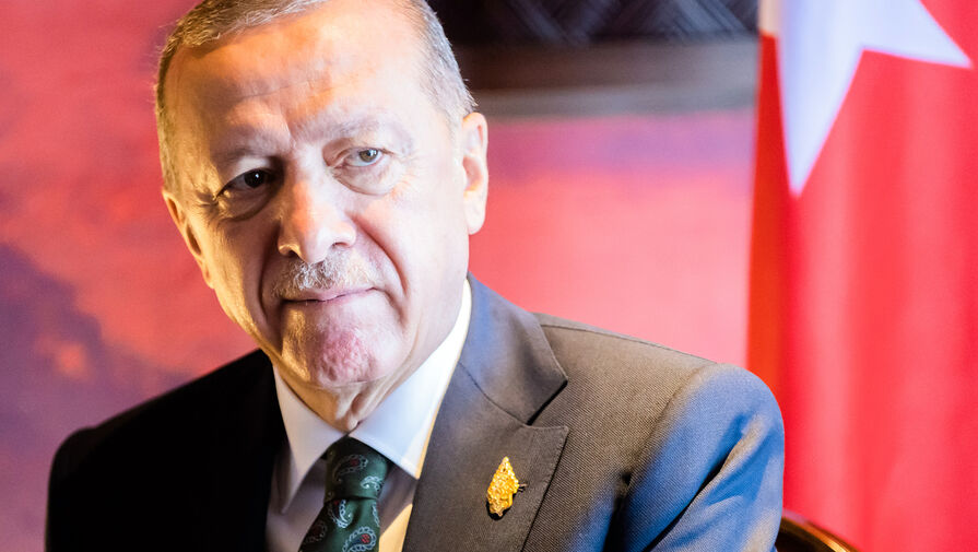 Эрдоган заявил о готовности Турции содействовать поставкам из РФ удобрений на мировые рынки