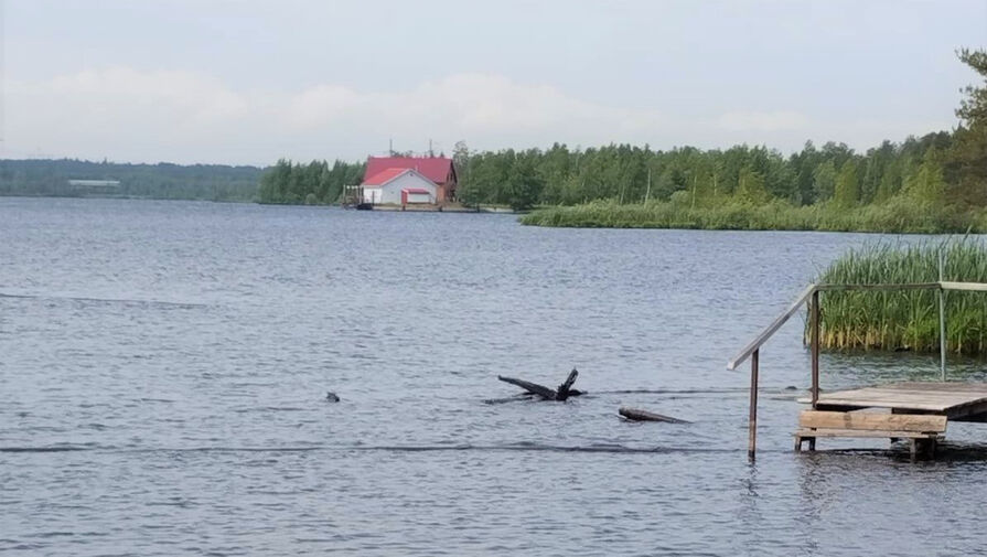 Пенсионеру раздробило голову винтом моторной лодки во время купания 