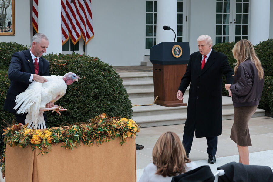 Президент США Дональд Трамп и первая леди США Мелания Трамп смотрят на&nbsp;Гоббла, одну из&nbsp;двух индеек, торжественно помилованных ко Дню благодарения в&nbsp;Розовом саду Белого дома в&nbsp;Вашингтоне, США, 25&nbsp;ноября 2025&nbsp;года