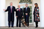 Президент США Дональд Трамп, первая леди Меланья Трамп, вице-президент Майк Пенс и служебный пес Конан у Белого дома в Вашингтоне, 25 ноября 2019 года