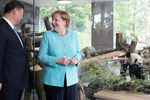 Ангела Меркель и Си Цзиньпин на открытии сада для панд в Берлине, 2017 год 