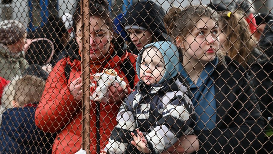 Эксперт: тема украинских беженцев становится точкой напряжения в преддверии выборов в ЕС