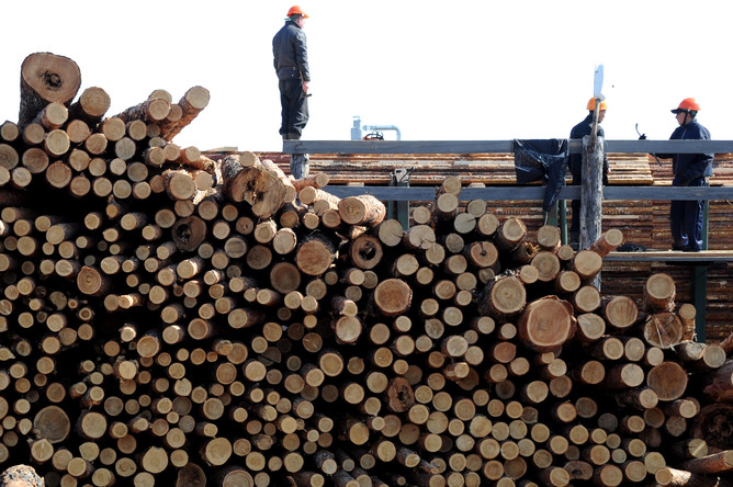 Минпромторг предлагает продлить субсидии лесообрабатывающим компаниям