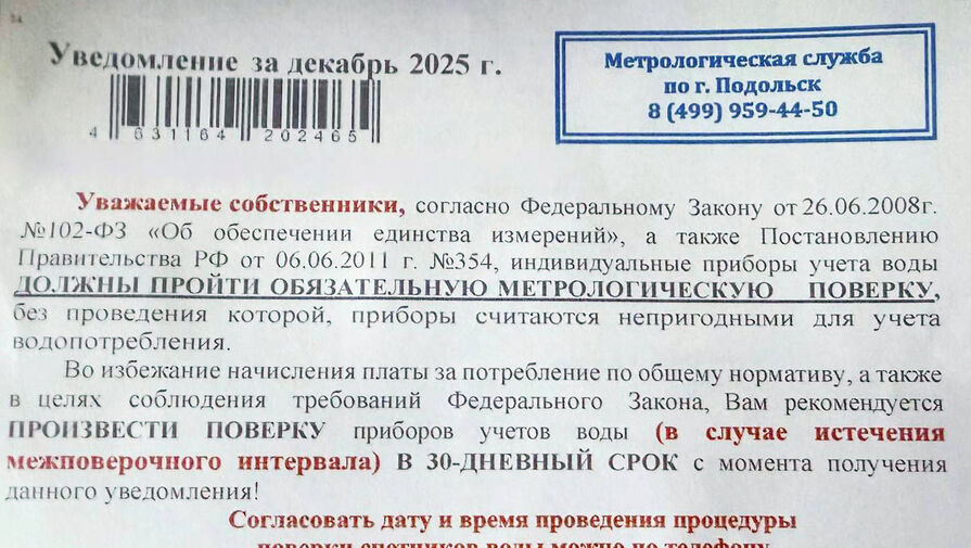 Россиян предупредили о мошенничестве с поверкой счетчиков в Новый год