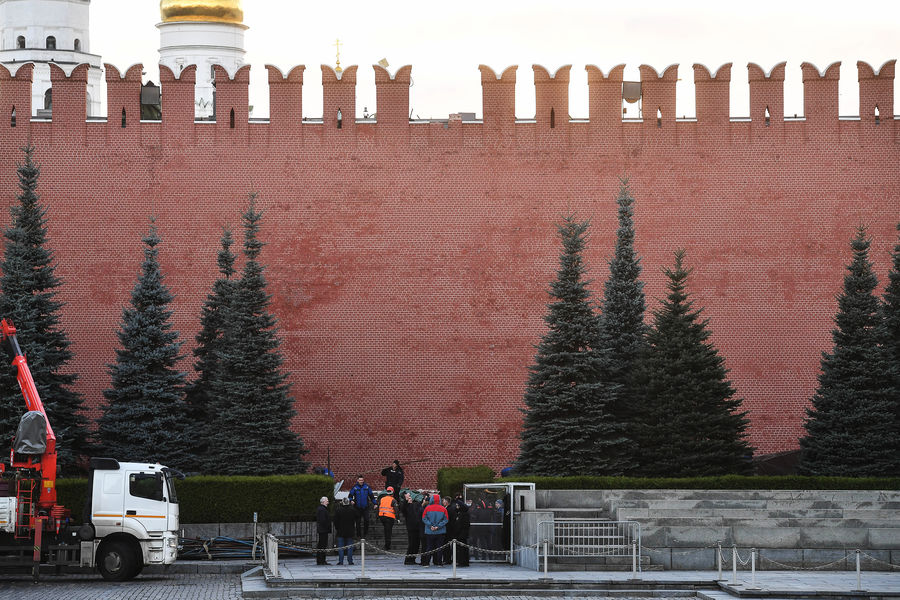 Голубые ели у кремлевской стены в москве