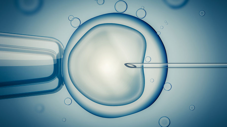 В России создали новый способ определения генетических отклонений у эмбрионов человека