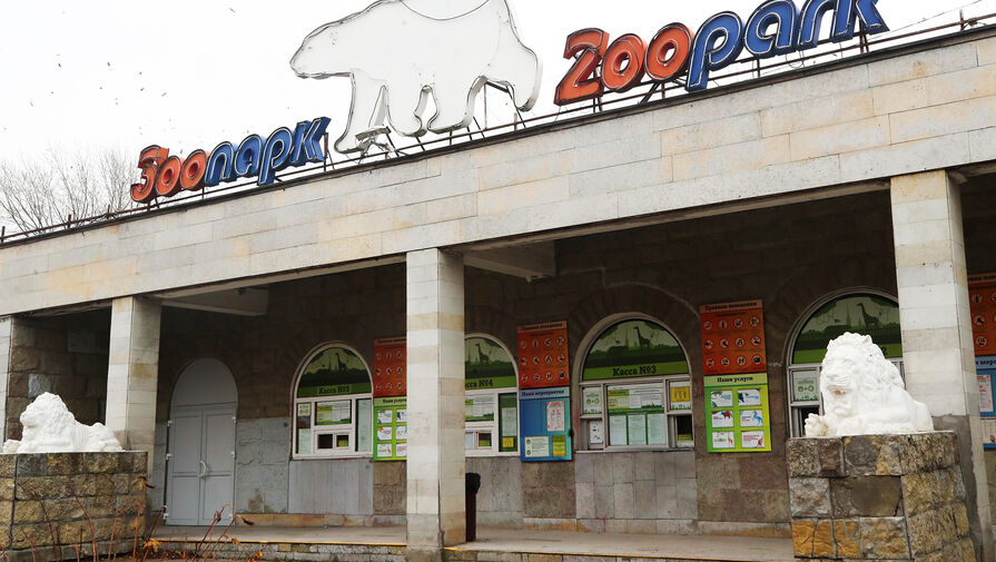 Директором Ленинградского зоопарка назначен Юрий Журавлев