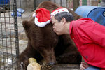 Владелец зоопарка в Маниле целует медведя гризли и желает ему счастливого Рождества