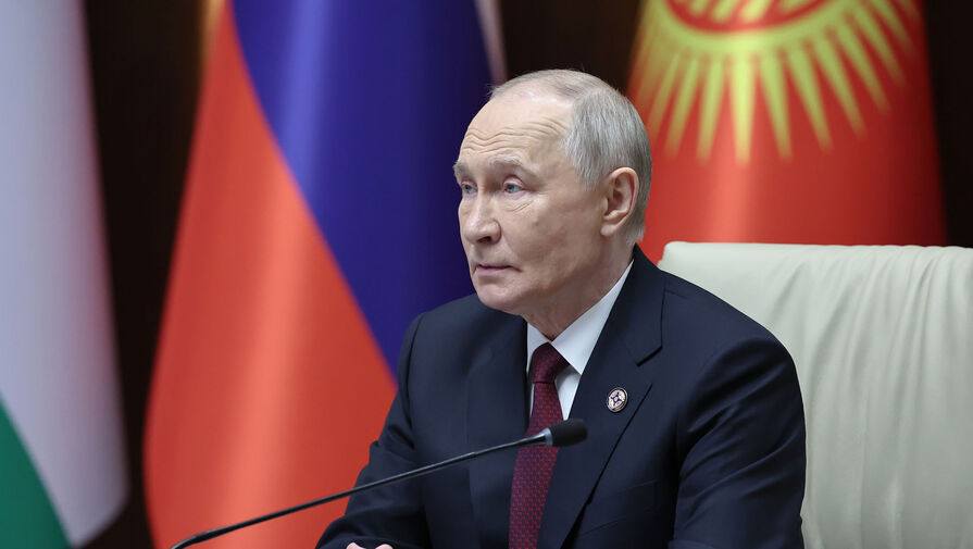 Путин оценил потери бюджета из-за ввоза товаров без документов