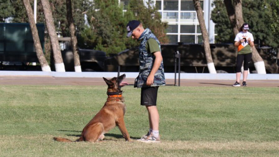 Российские военные привезли боевых собак в Узбекистан на конкурс кинологов