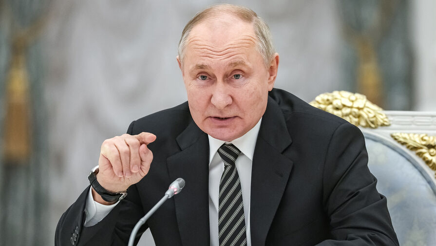 Владимир Путин встречается с членами Общественной палаты