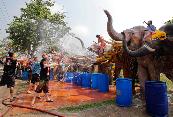 Слоны поливают прохожих водой в&nbsp;рамках празднования Сонгкрана в&nbsp;таиландской провинции Аюттхая