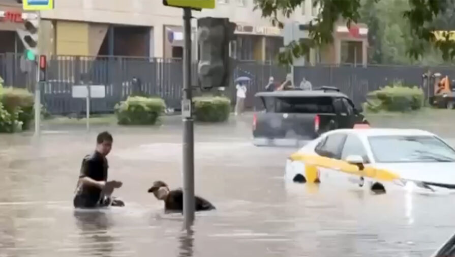 Появилось видео, как в Москве водители в большой луже голыми руками чистят ливневки