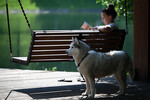 Девушка читает в парке Каскад Кировоградских прудов в Москве, 2 июля 2024 года