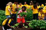 Мишель Обама собирает урожай овощей с огорода Белого дома вместе с учениками начальной школы Бэнкрофт, 2009 год