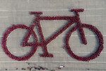 Попытка создания самого большого изображения велосипеда для книги рекордов Гиннеса в Сантьяго, Чили, 27 мая 2023 года