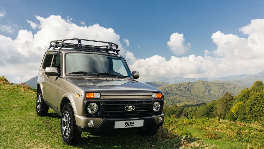 Немецкий депутат от АдГ приехал на избирательный участок на Ниве