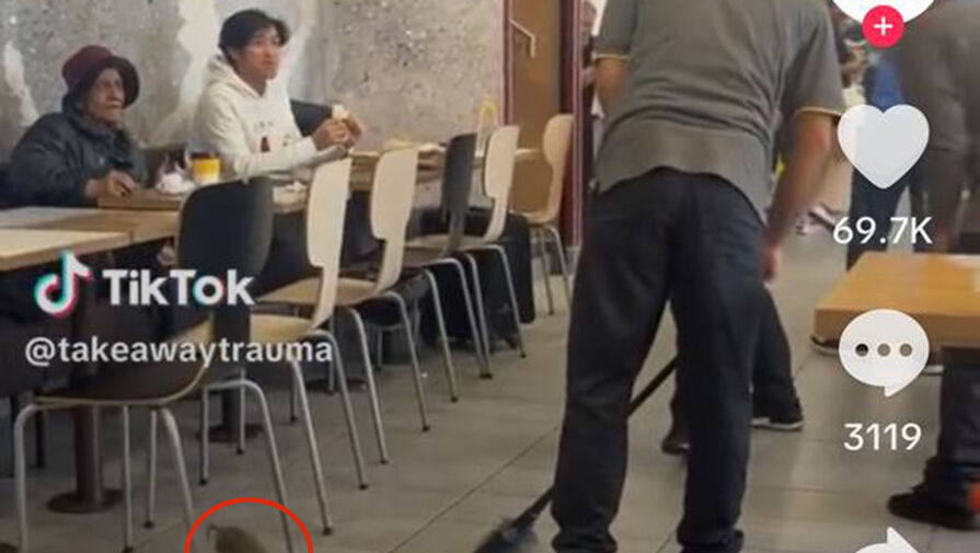 Огромная крыса испугала посетителей лондонского McDonald's и попала на видео