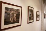 Фотографии на выставке «Джок Стерджес. Без смущения»