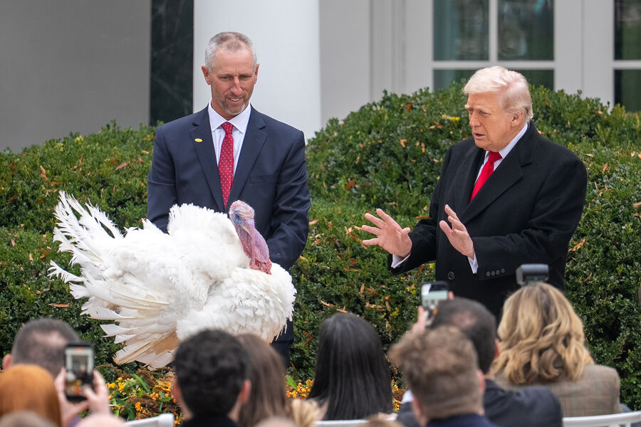 Президент США Дональд Трамп возле индейки по&nbsp;кличке Гоббл, торжественно помилованной ко Дню благодарения в&nbsp;Розовом саду Белого дома в&nbsp;Вашингтоне, США, 25&nbsp;ноября 2025&nbsp;года