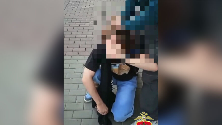 Подростки устроили ограбление с газовым баллончиком в Петербурге