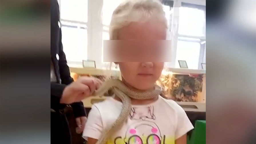 Контактный зоопарк в Екатеринбурге закрывают после нападения змеи на ребенка