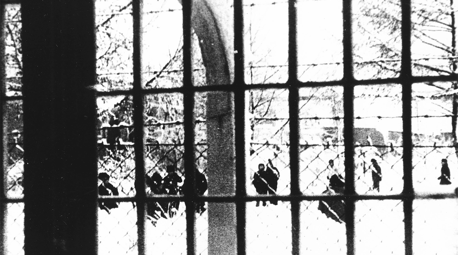 Лагерь для интернированных около Варшавы, январь 1982 года
