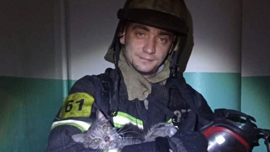В Подмосковье спасатели вынесли из огня двух кошек и реанимировали одну из них