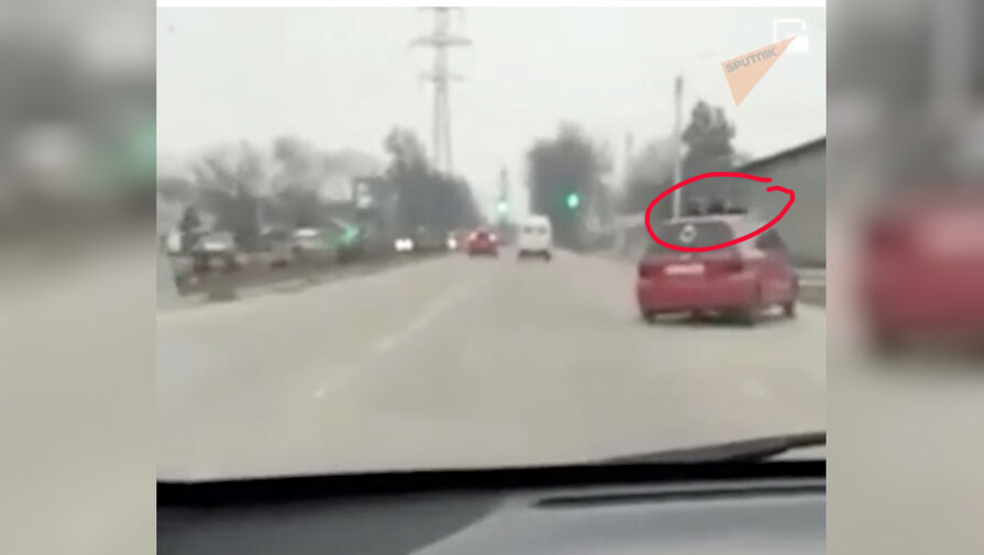 В Киргизии женщина провезла мужа на крыше машины и врезалась в столб
