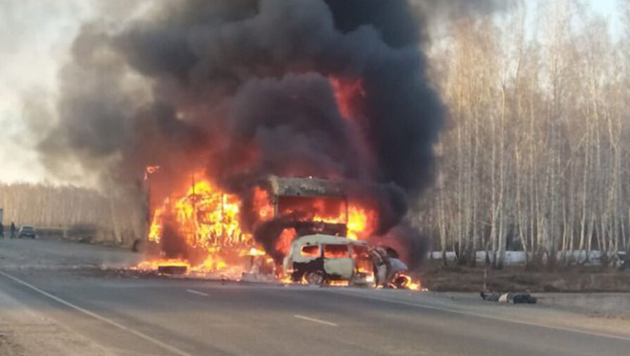 Фура и легковушка сгорели дотла после ДТП в Омской области, один из водителей погиб