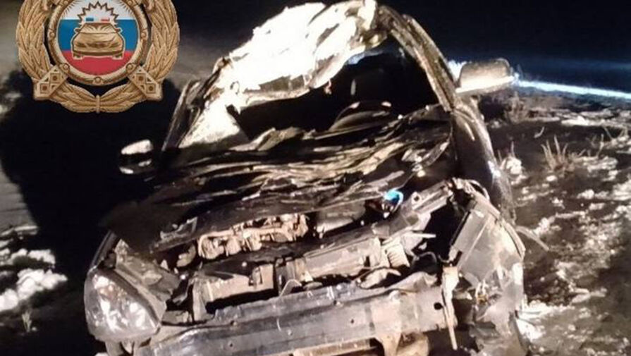 В Саратовской области Lada Priora с людьми разбилась в ДТП с лошадью