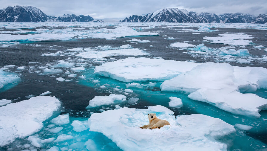 В России заявили о громком поражении Трампа в гренландском вопросе