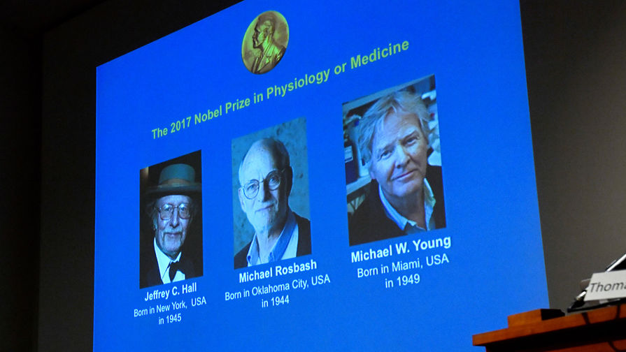 Нобелевский комитет присудил премию в области физиологии или медицины Джеффри Холлу, Майклу Росбашу и Майклу Янгу 