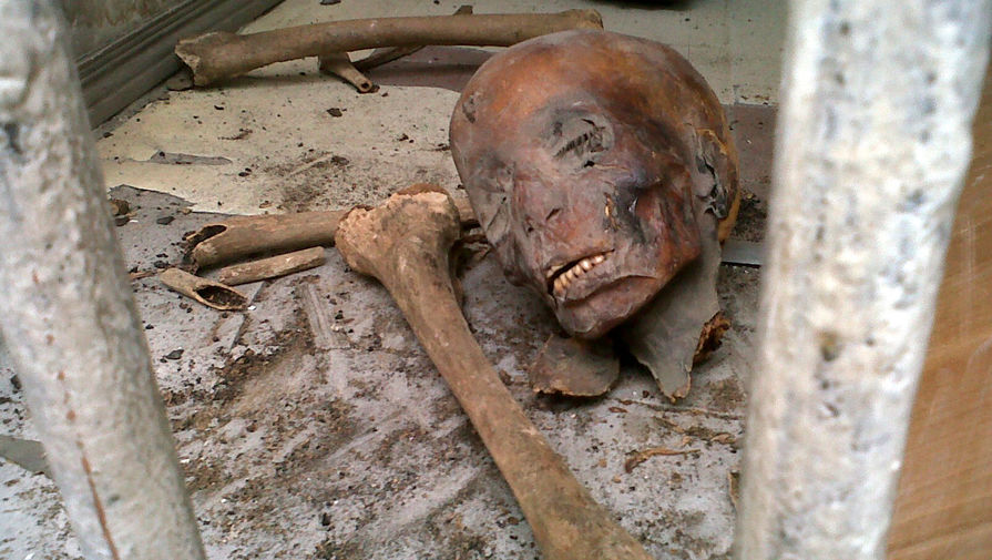 Мумии на&nbsp;полу Египетского музея в&nbsp;Каире после нападения мародеров, 2011 год