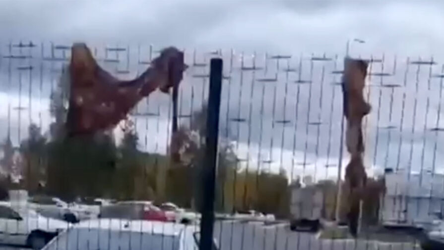 Жители ХМАО сняли на видео, как сотрудники пекарни сушат мясо на заборе