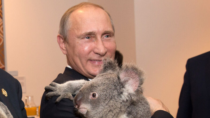 Австралийский заповедник, где Путин обнимал коалу, запретил брать животных на руки