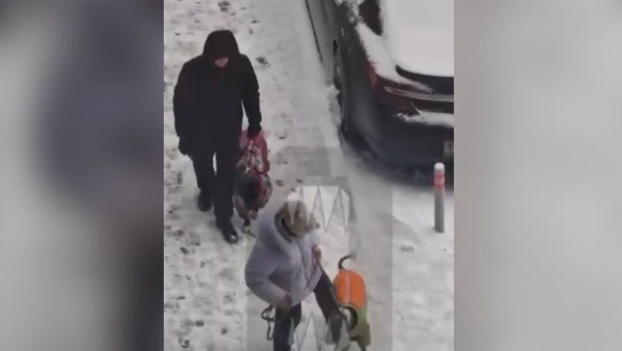 В Москве жители пожаловались на соседку, которая пинала свою собаку