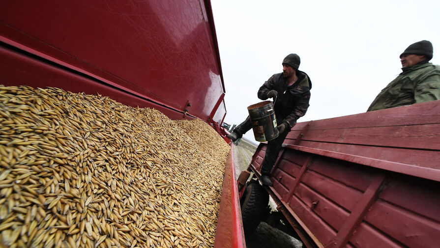 В России начала падать рентабельность сельхозпроизводства