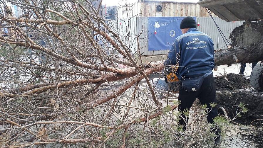 В Москве упавшее дерево повредило газопровод