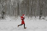 Снегопады не помешали проведению традиционного «Забега Санта-Клаусов» в немецком Михендорфе, в котором приняли участие 800 человек