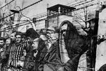 За все годы существования комплекса Освенцим было всего лишь 300 удачных попыток побега