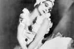 Несмотря на плохое самочувствие и жар, 17 января 1931 года Павлова отправилась на гастроли в Нидерланды, где в честь «русского Лебедя» голландцы вывели особый сорт белых тюльпанов под названием «Анна Павлова». Но из гостиничного номера в Гааге танцовщица уже не вышла: в час ночи с четверга на пятницу 23 января 1931 года ее не стало. Прах балерины хранится в белоснежной урне в крематории «Голдерс-Грин» в Лондоне