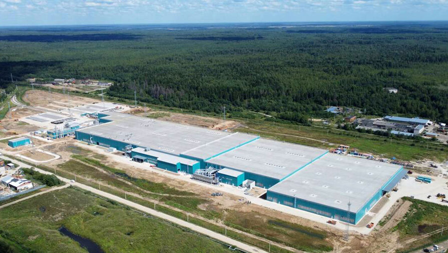 Под Вологдой запустили производство широкоформатной березовой фанеры