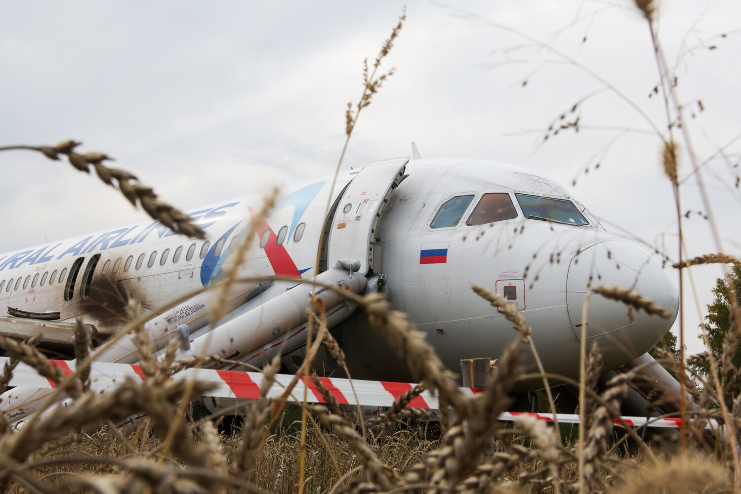 Самолет — разобрать, пилотов — уволить. Что будет с Airbus A320, севшим в  поле под Новосибирском - Газета.Ru