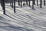 Парк в Лозанне после снегопада