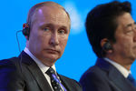 Президент России Владимир Путин и премьер-министр Японии Синдзо Абэ во время пленарного заседания «Открывая Дальний Восток» в рамках II Восточного экономического форума на территории Дальневосточного федерального университета (ДВФУ) на острове Русский