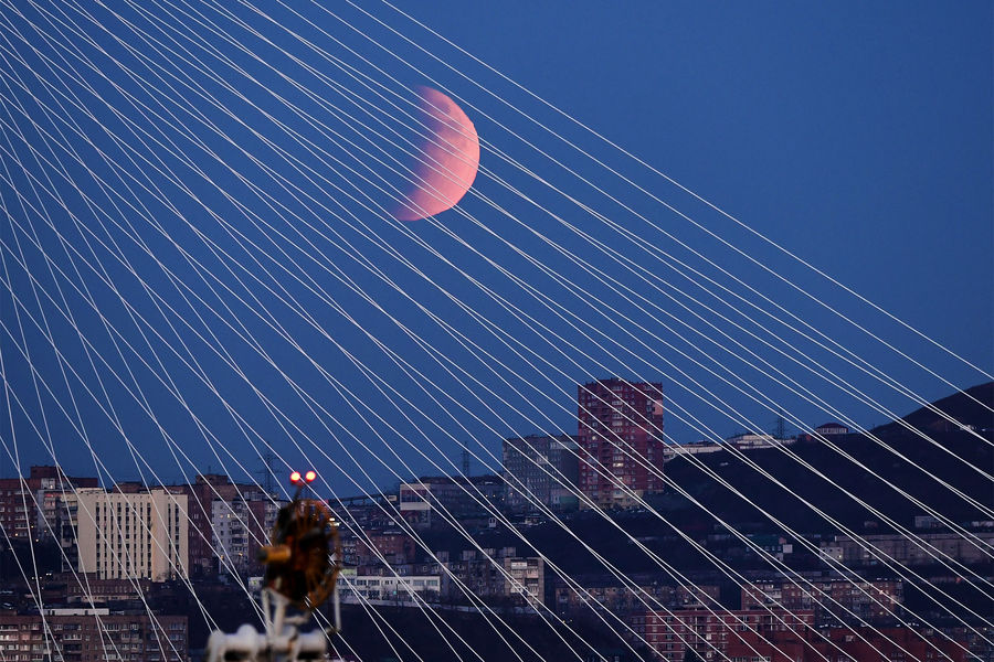 Частичное затмение Луны во Владивостоке возле вантового моста через&nbsp;бухту Золотой Рог, 19&nbsp;ноября 2021&nbsp;года